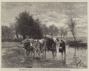 Il carro dell